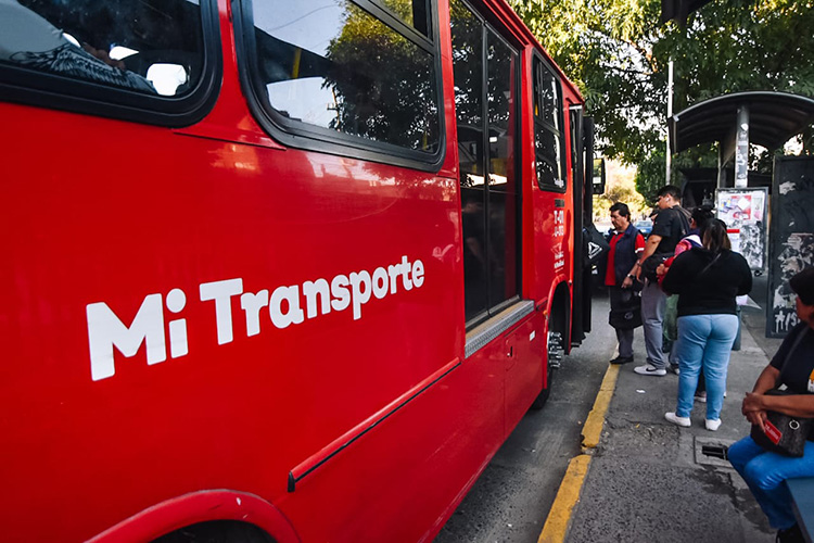 Camiones para personas con discapacidad, el 2%