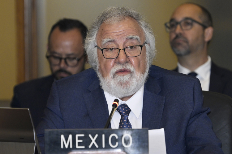 México subraya ante la OEA que la intervención en América Latina nunca trajo democracia