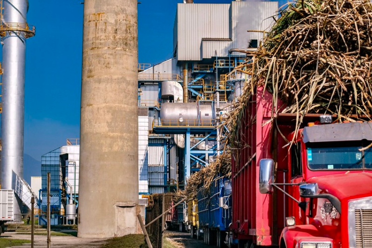 Arranca obra de riego con agua tratada en Tala