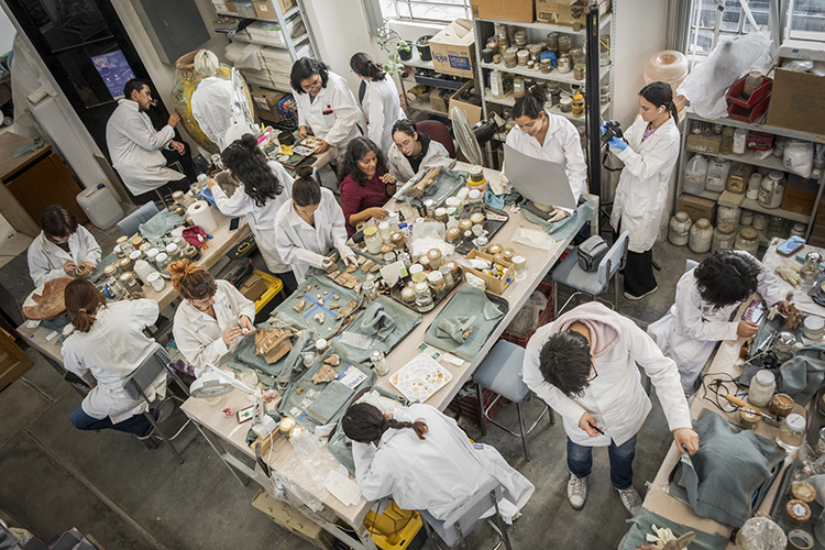 ECRO invita a carrera de restauración de bienes