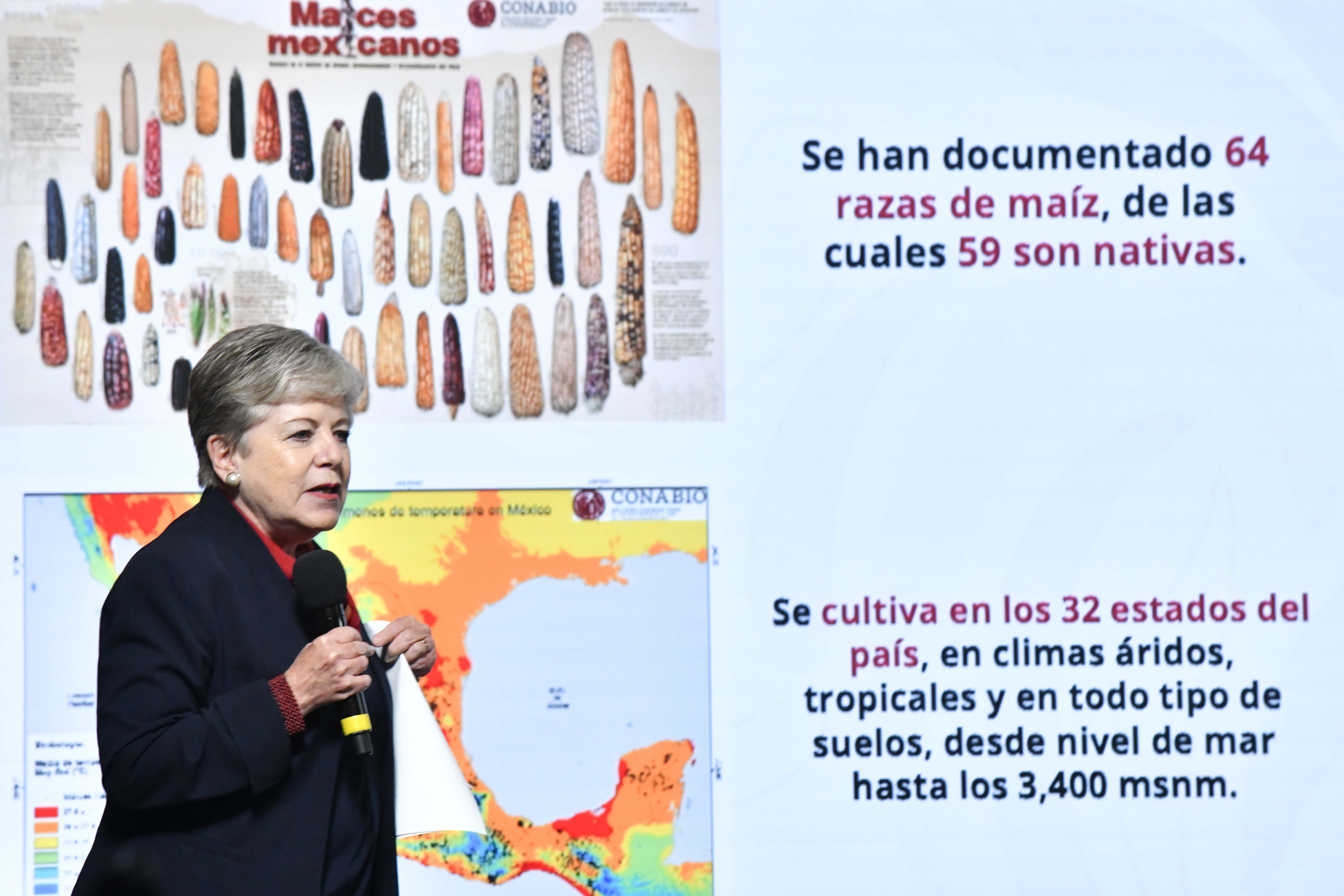 Sheinbaum no irá a Davos y en su lugar acudirá la secretaria de Medio Ambiente