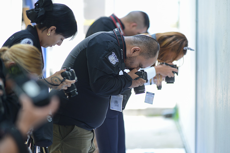 Ciencias Forenses oferta dos diplomados