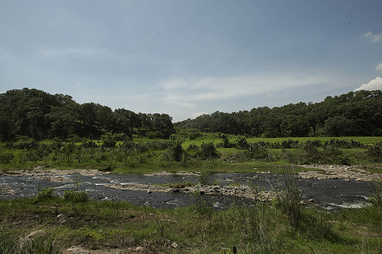 12 mil personas visitaron el Bosque La Primavera en vacaciones