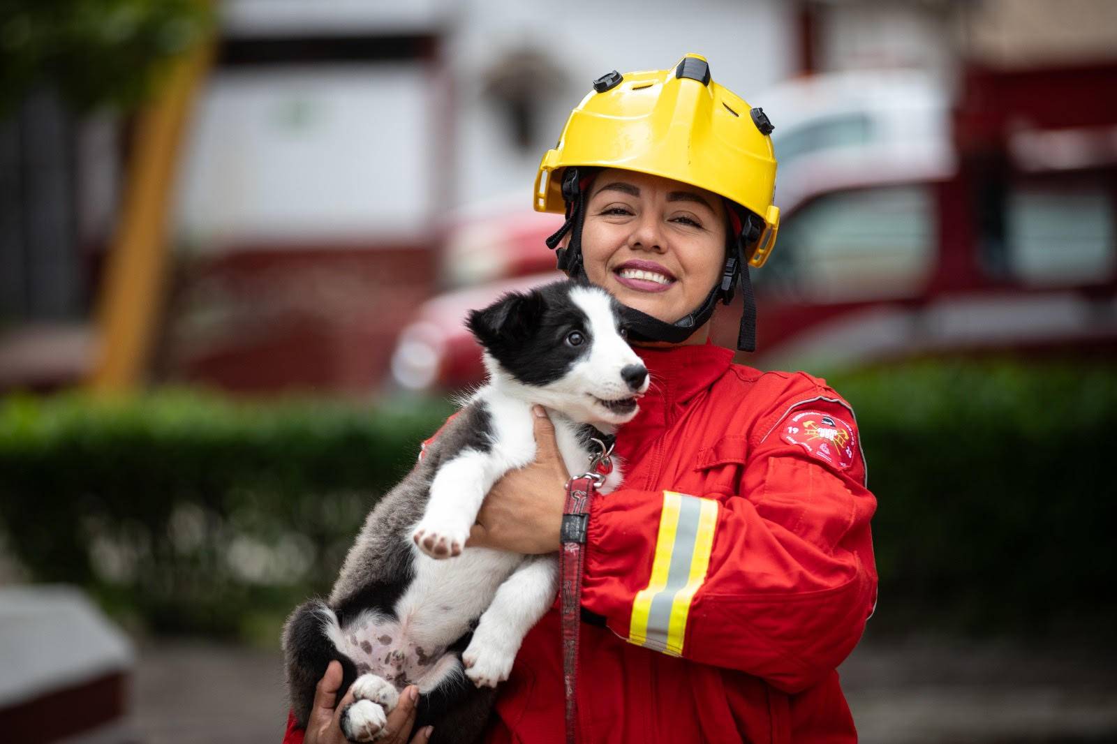 Presentan a Orco, el nuevo perro rescatista en Guadalajara