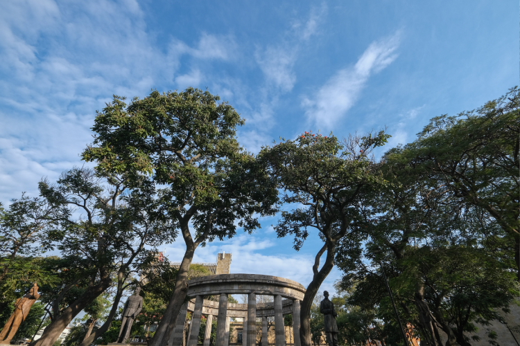 Identifica Imeplan más de 1.3 millones de árboles en zonas urbanas del AMG