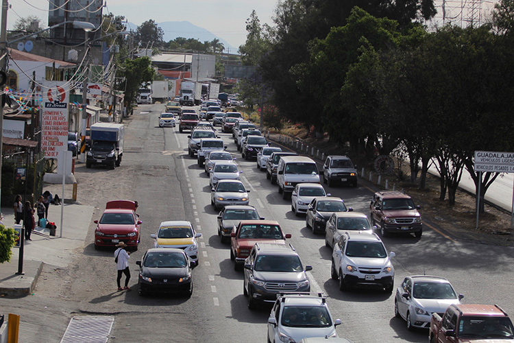 Jalisco, líder de la AMAM