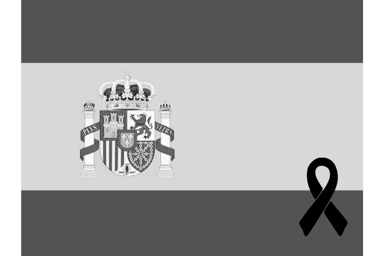 Caos en estaciones y suspensión de servicio debido al accidente de dos trenes en España