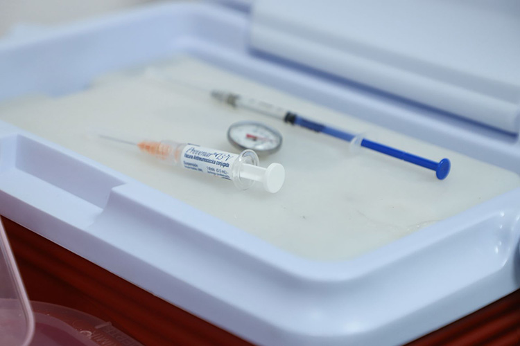 Hay 11 hospitalizados por sarampión en el estado