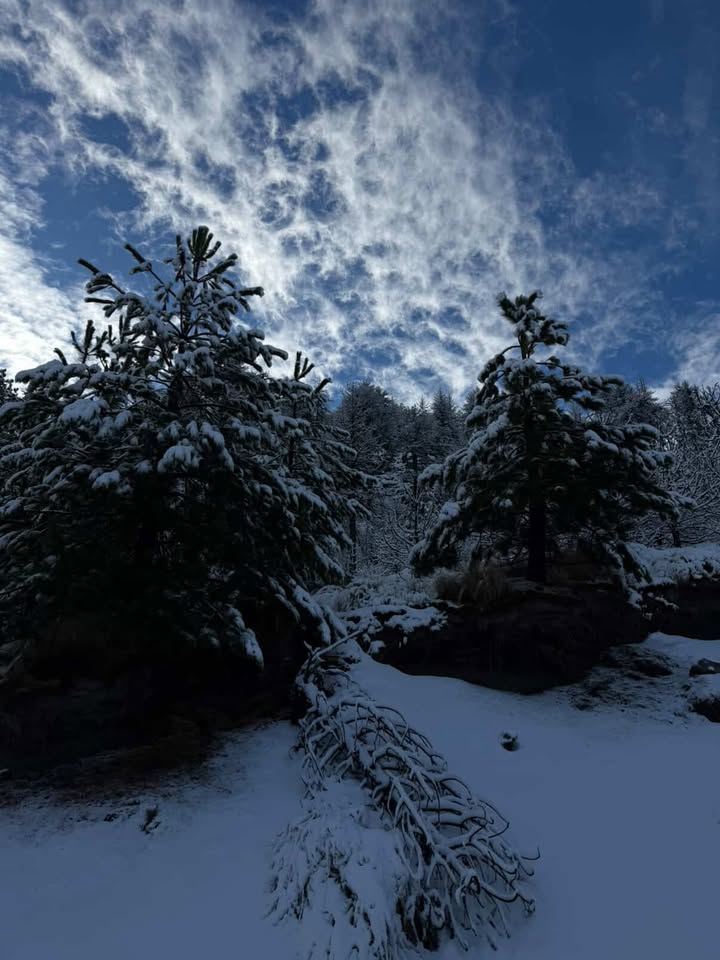Amanece Jalisco con ambiente frío; prevén aumento de temperatura y posibles lluvias aisladas