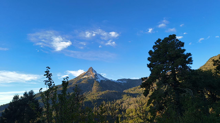Van 41 muertes en temporada invernal