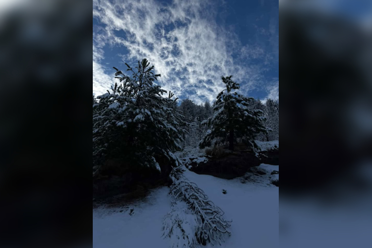 Amanece Jalisco con ambiente frío; prevén aumento de temperatura y posibles lluvias aisladas