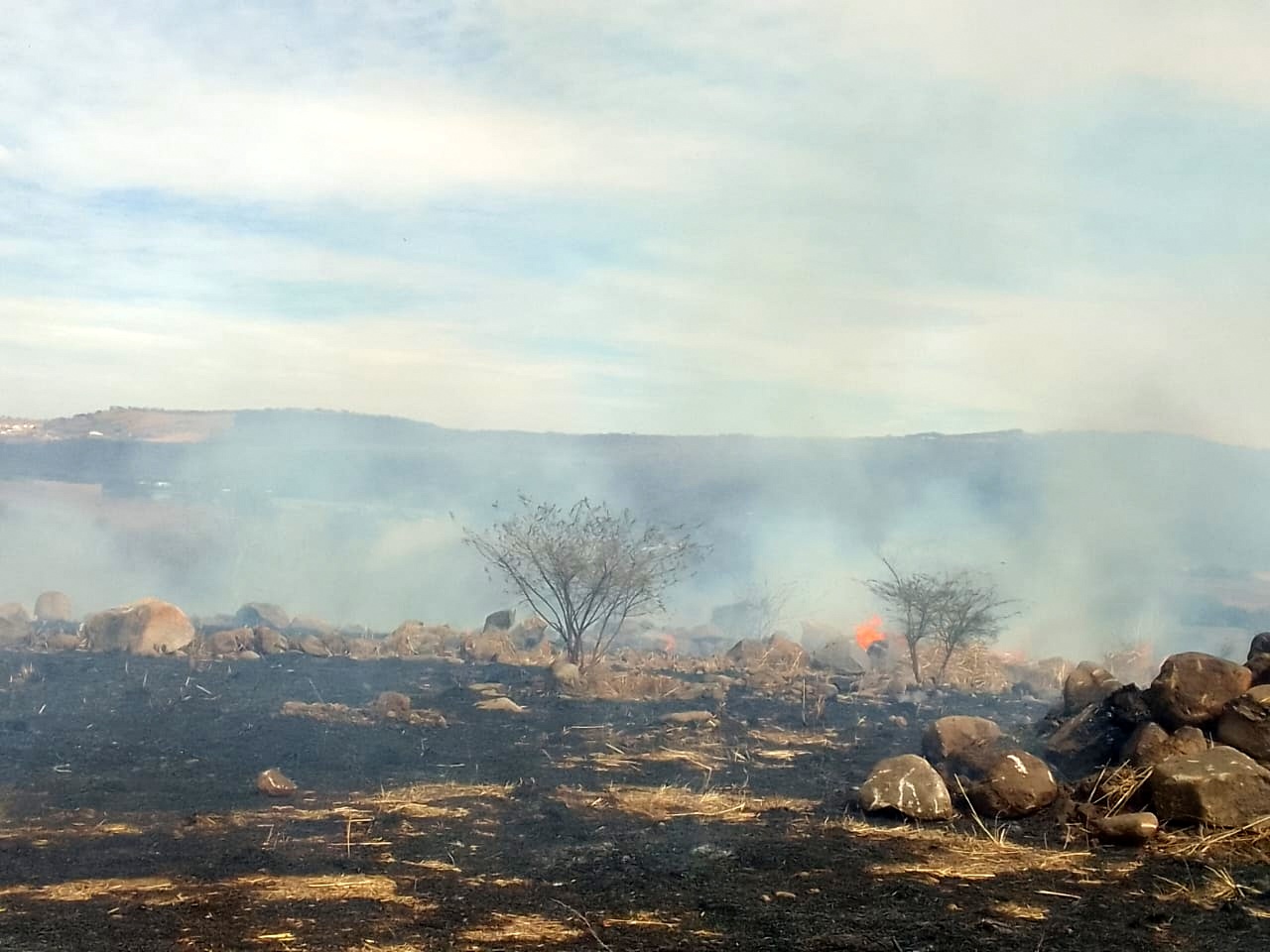 Reportan incendio en la Sierra de Manantlán