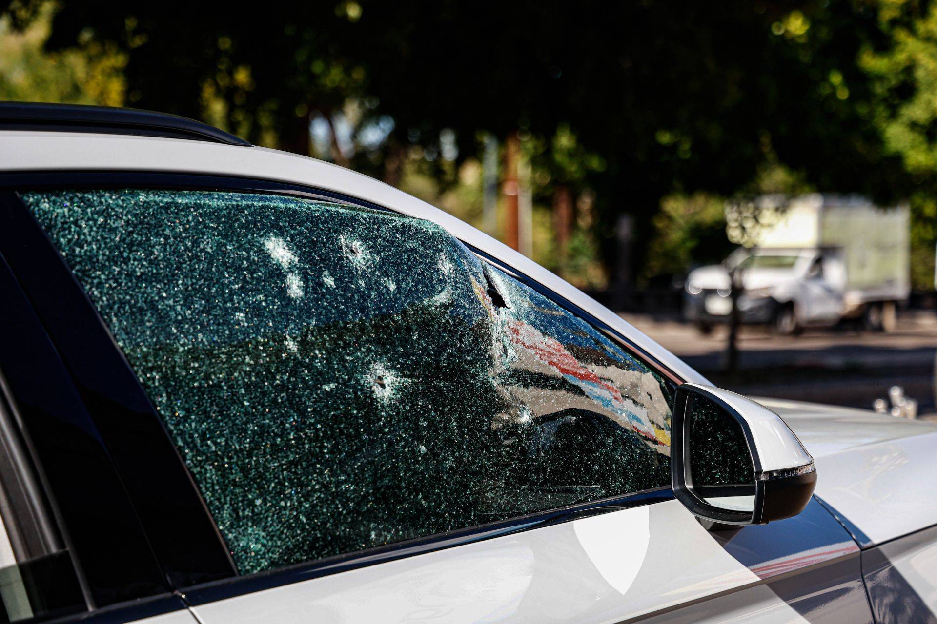 Diputada Elizabeth Montoya pierde un ojo