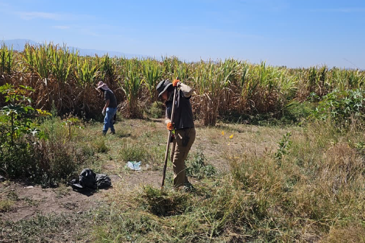 Localizan restos óseos en búsqueda en Acatlán