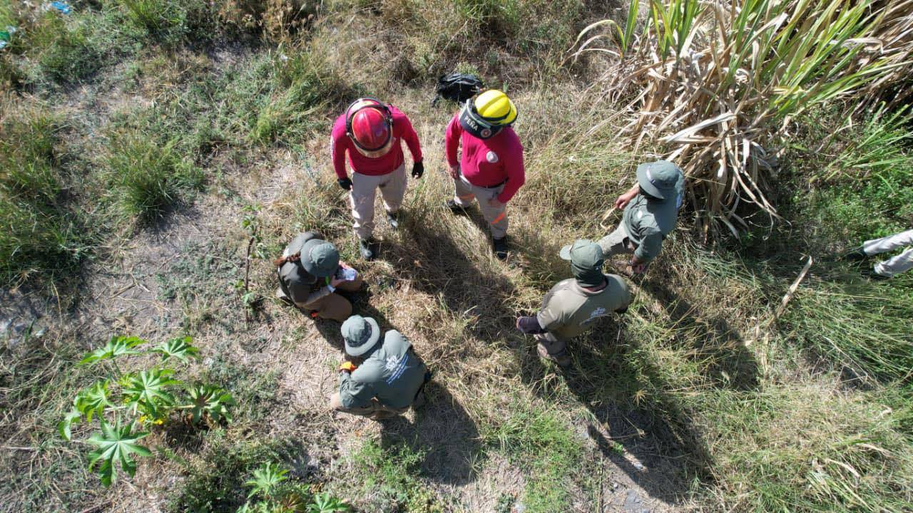 Localizan a 35 personas en una semana en Jalisco; 5 fueron halladas sin vida