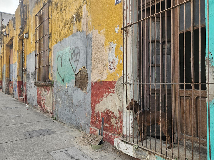 Abandono urbano genera inseguridad en Analco