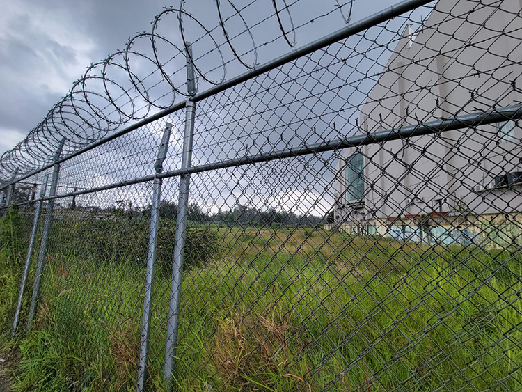 Confirman protección legal de Colomos III