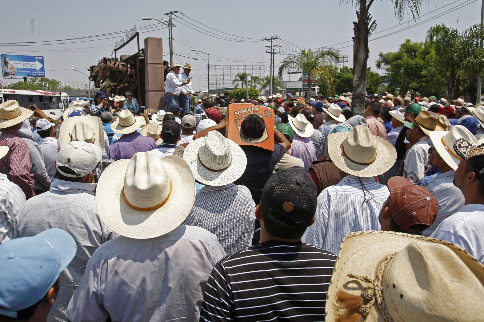 En el colapso económico productores nacionales de maíz; prevén nuevos megabloqueos: líder de agricultores Jalisco
