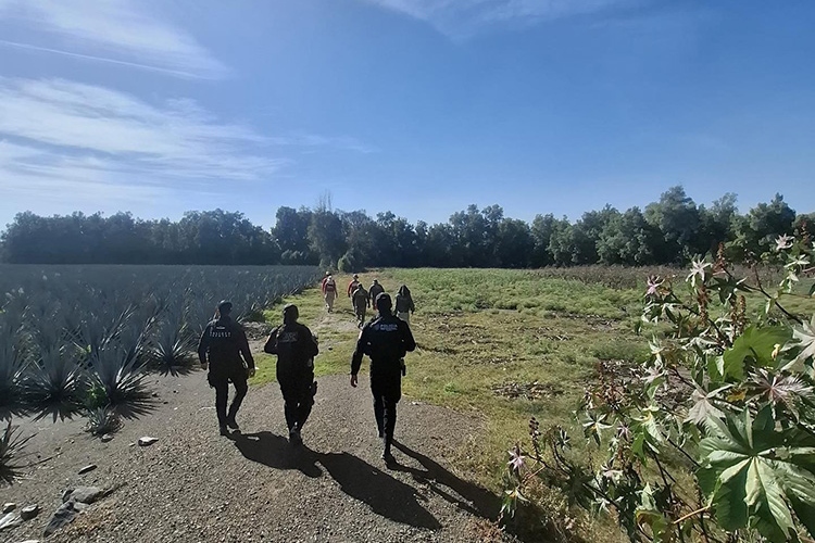 Localizan a 30 en una semana; dos sin vida