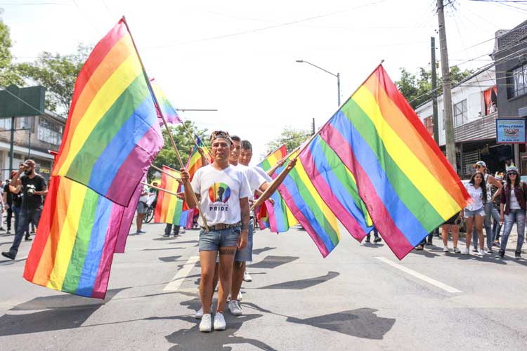 Plantean fortalecer encuesta de la diversidad