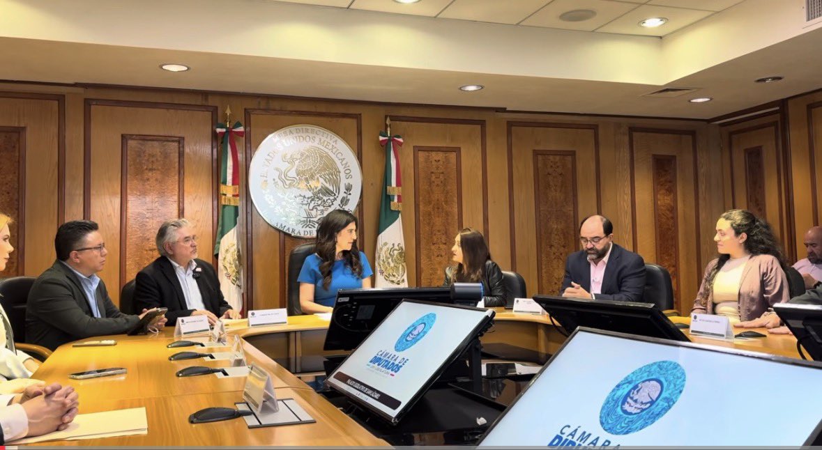 Somos MX plantea blindar elecciones contra el narco y eliminar sobrerrepresentación