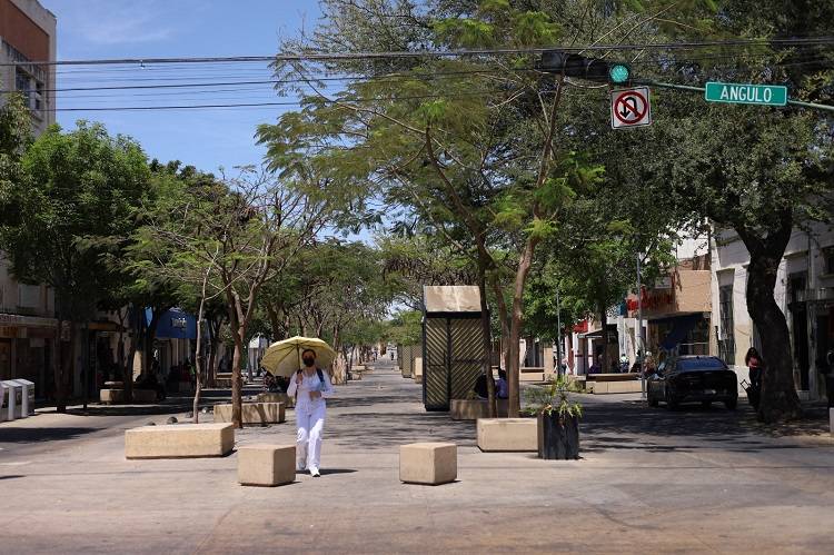 Semáforos incluyentes ayudarían, pero las banquetas siguen siendo el principal obstáculo