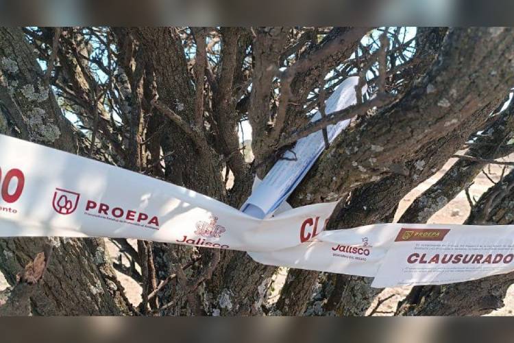 Impone Proepa 178 clausuras en 2025