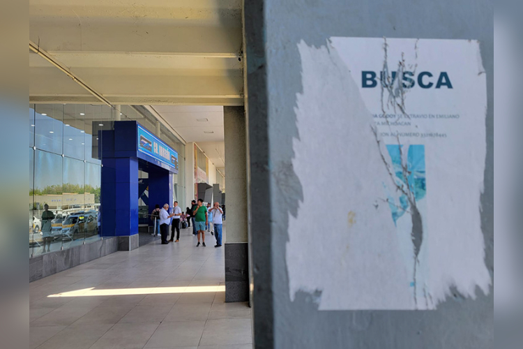 Integrarán 24 cámaras de Central Nueva al Escudo C5 