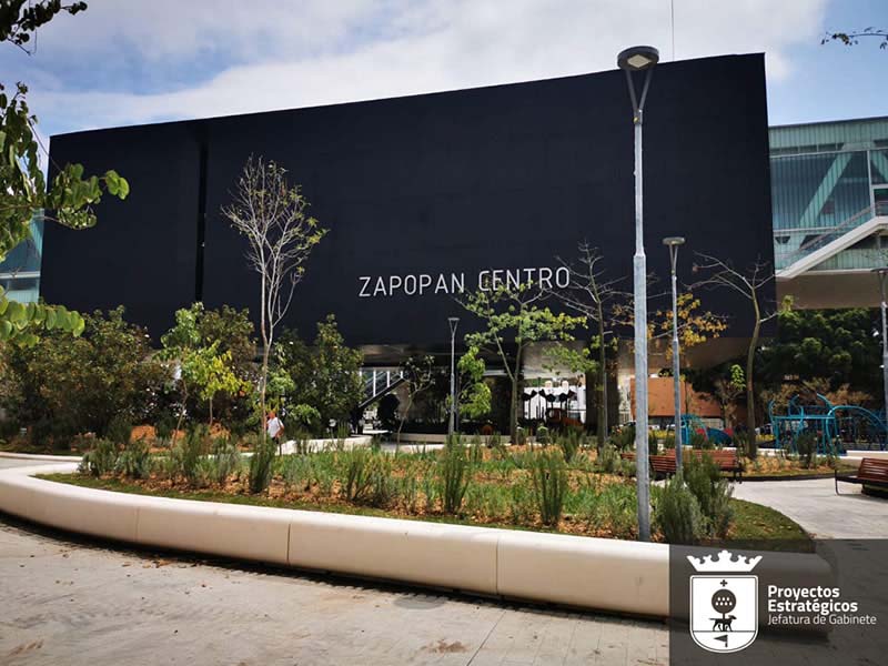 Luz de Esperanza suspende por primera vez pega de cédulas 