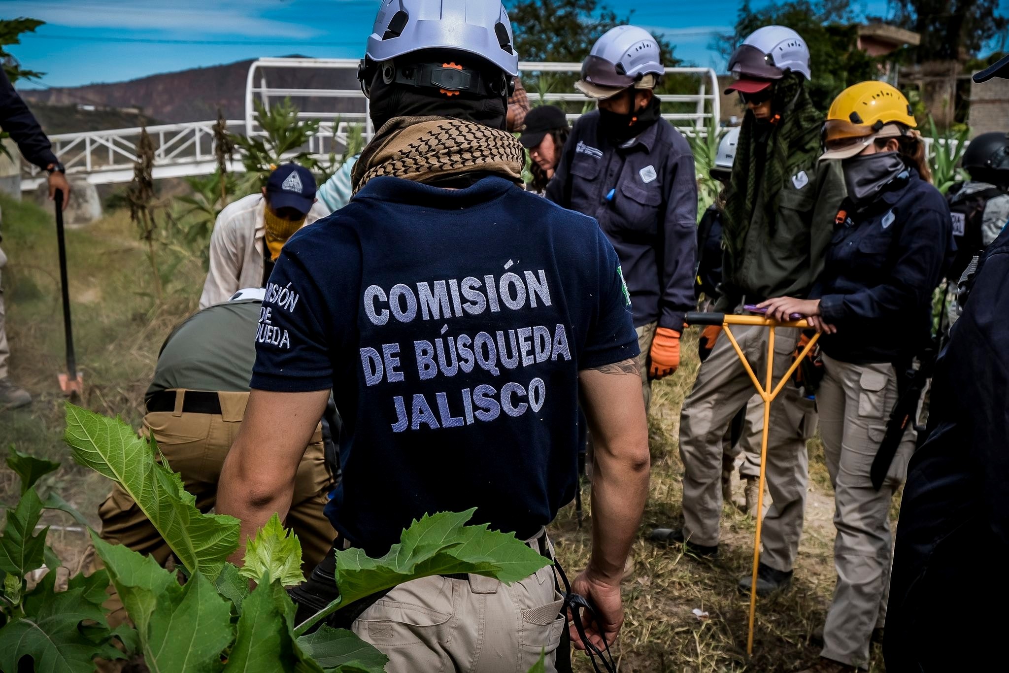 Reporta Fiscalía 29 personas localizadas