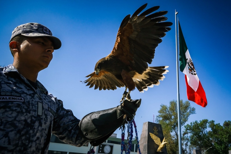 Conmemoran Día de la Bandera