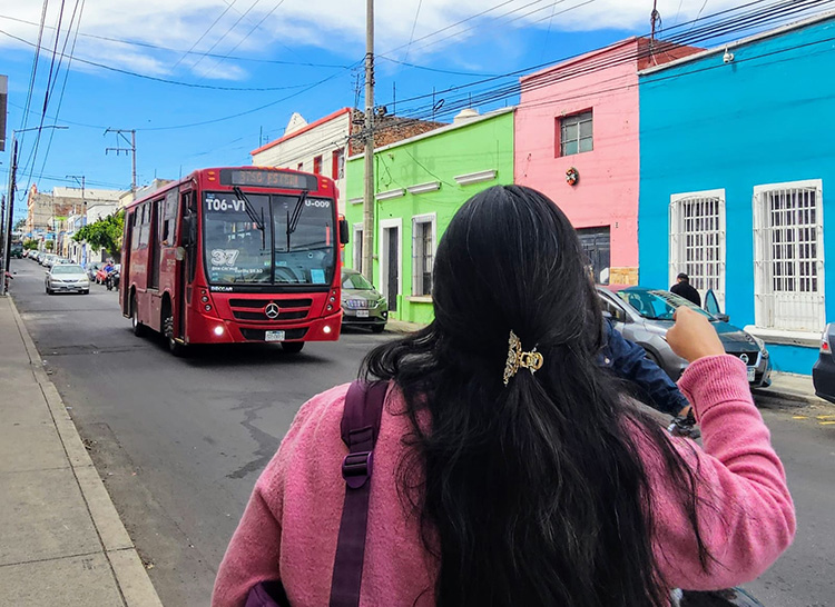 Ven limitantes en los apoyos de movilidad