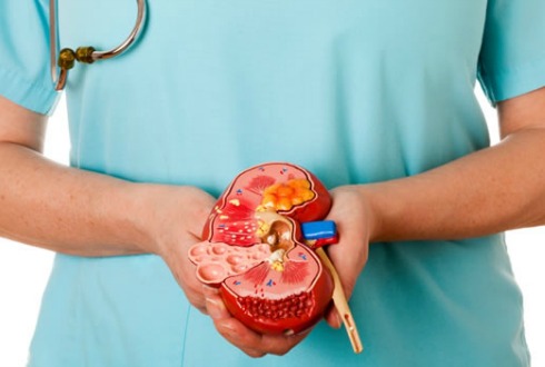 Realizarán jornada de detección de mal renal