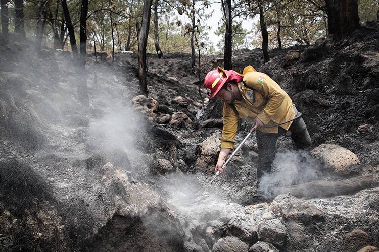 Llaman a ciudadanía a extremar precauciones para evitar incendios en bosques en esta temporada de calor