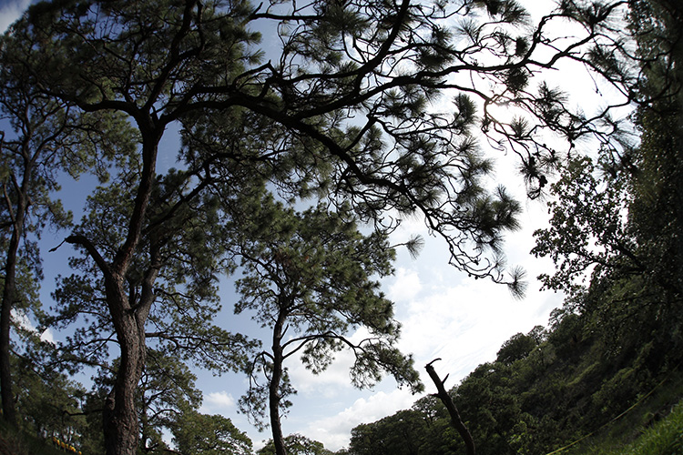 OPD Bosque La Primavera llama a extremar precauciones durante la temporada de estiaje