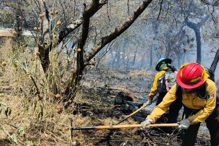 Buscan sumar a la ciudadanía para prevenir incendios forestales