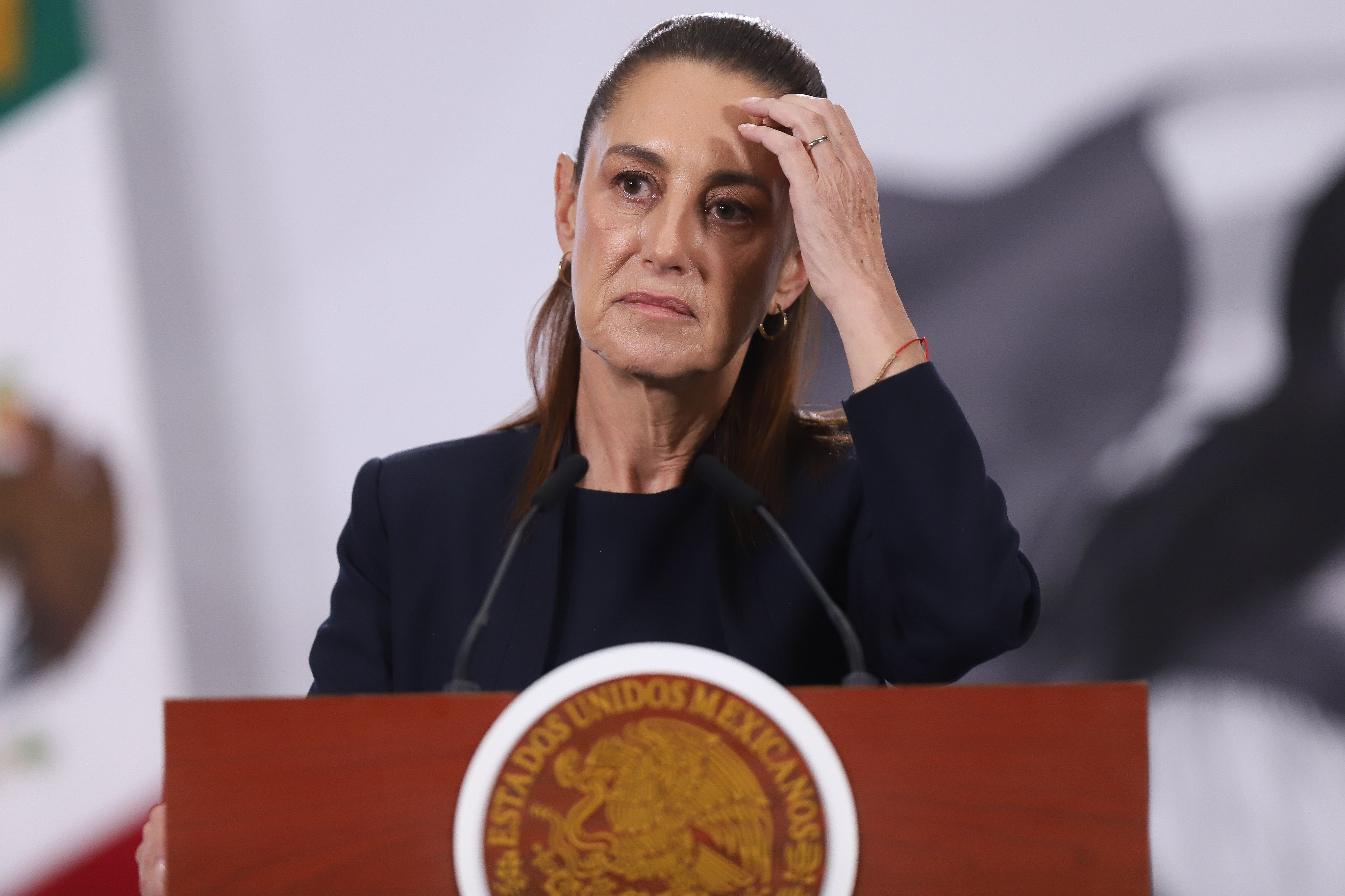 Sheinbaum buscará el 