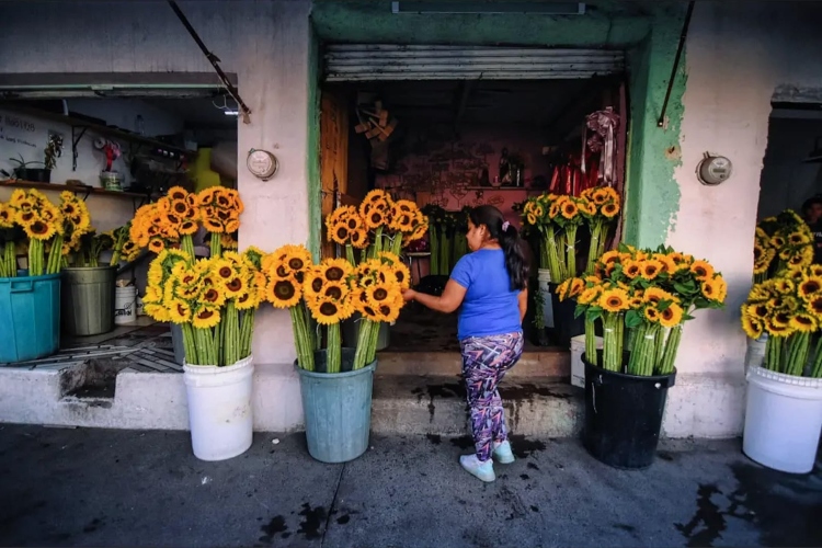 Brecha salarial de género, mayor en Jalisco que en el país