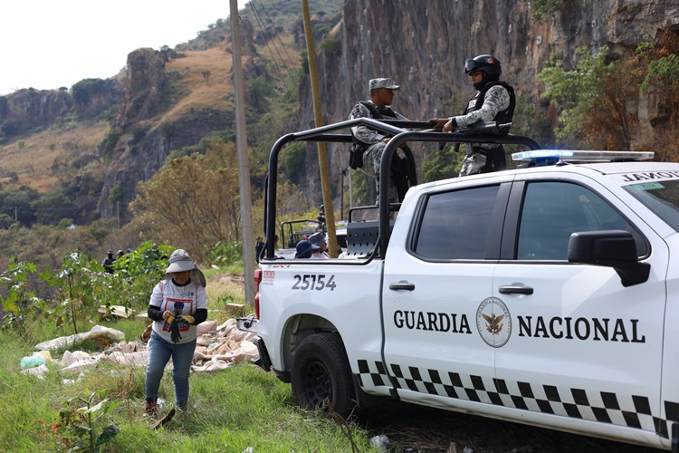 GN en las búsquedas, sólo a través de CNB