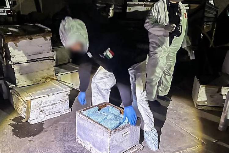 Cae flujo de fentanilo 56 por ciento