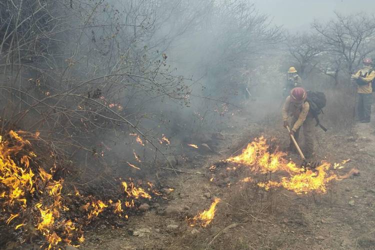 Incendio en La Primavera deja más de 200 hectáreas afectadas