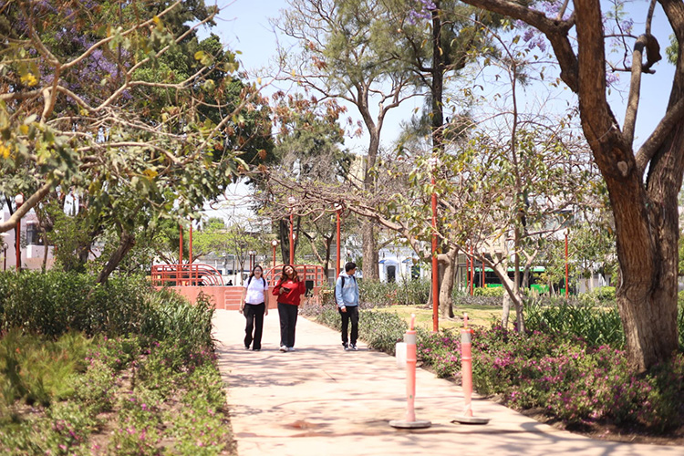 Entre opiniones divididas, reabre por fin el Rojo 