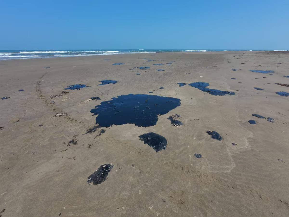 Sheinbaum dice que playas están limpias a pesar de derrame en el Golfo