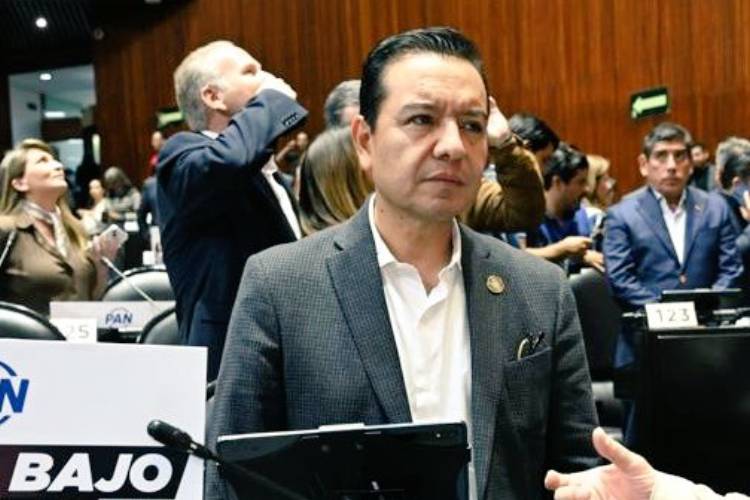 PAN advierte riesgo de control político en elección de consejeros del INE