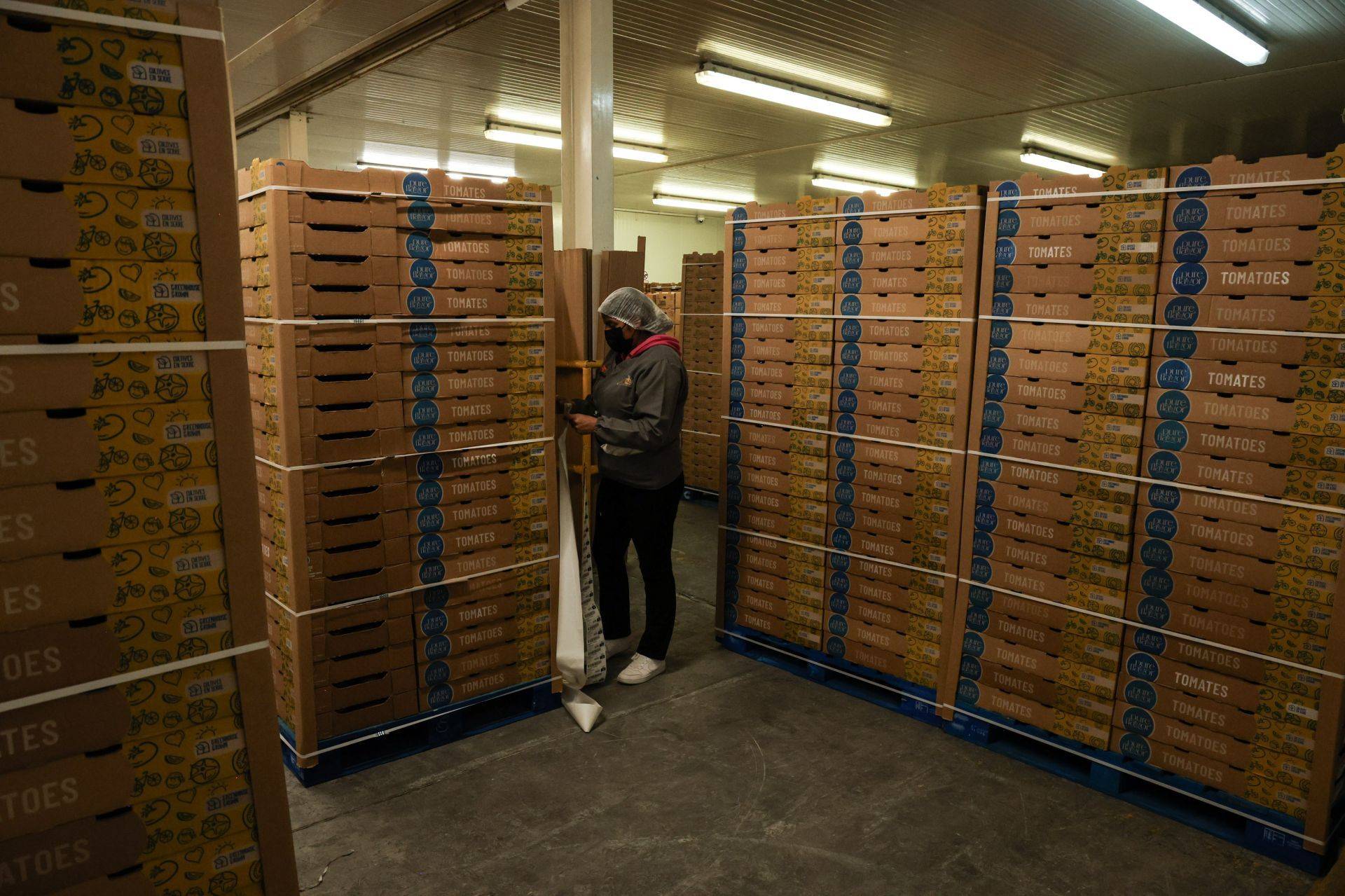 Exportaciones aumentan 124 por ciento en Jalisco