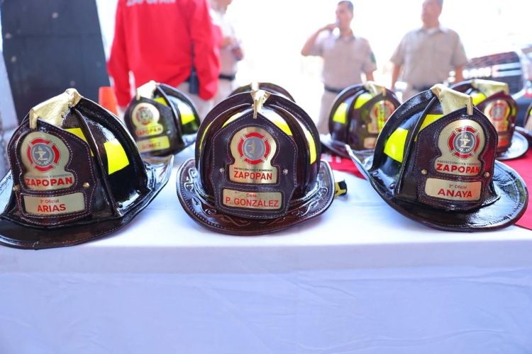 Reubican enjambres para proteger abejas en Guadalajara