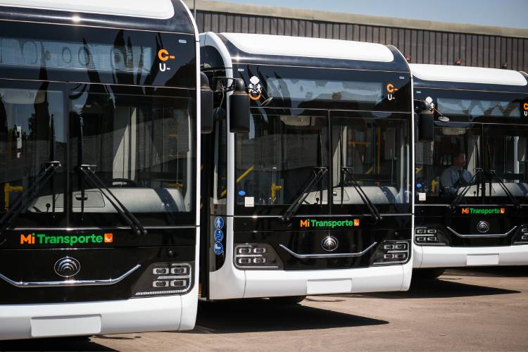 Integrarán 7 camiones al TP de Puerto Vallarta