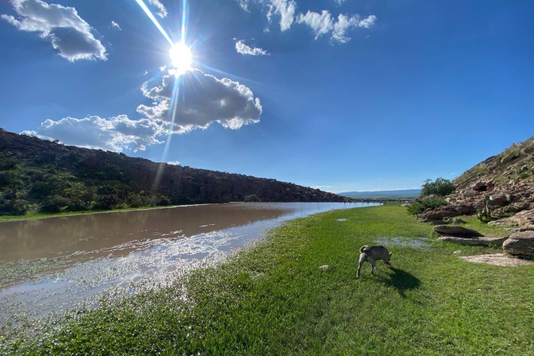 Alertan por abandono de sistemas xerorribereños en Los Altos 