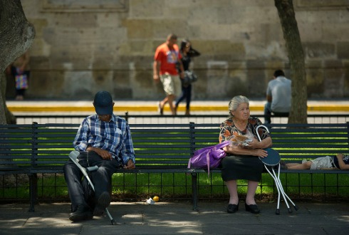 Llama especialista a moverse y cuidar dieta para una vejez digna
