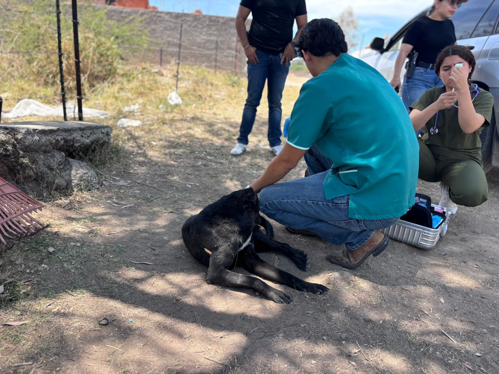 Autoridades de El Salto atienden a perro baleado y buscan a responsable